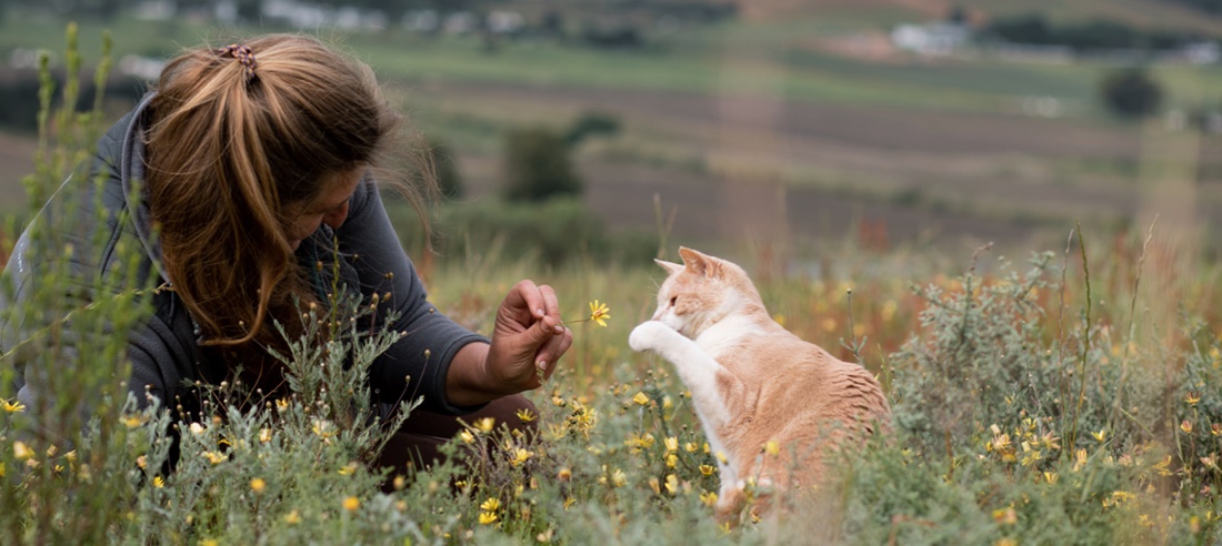 Ubuntu Healing Animal Communication