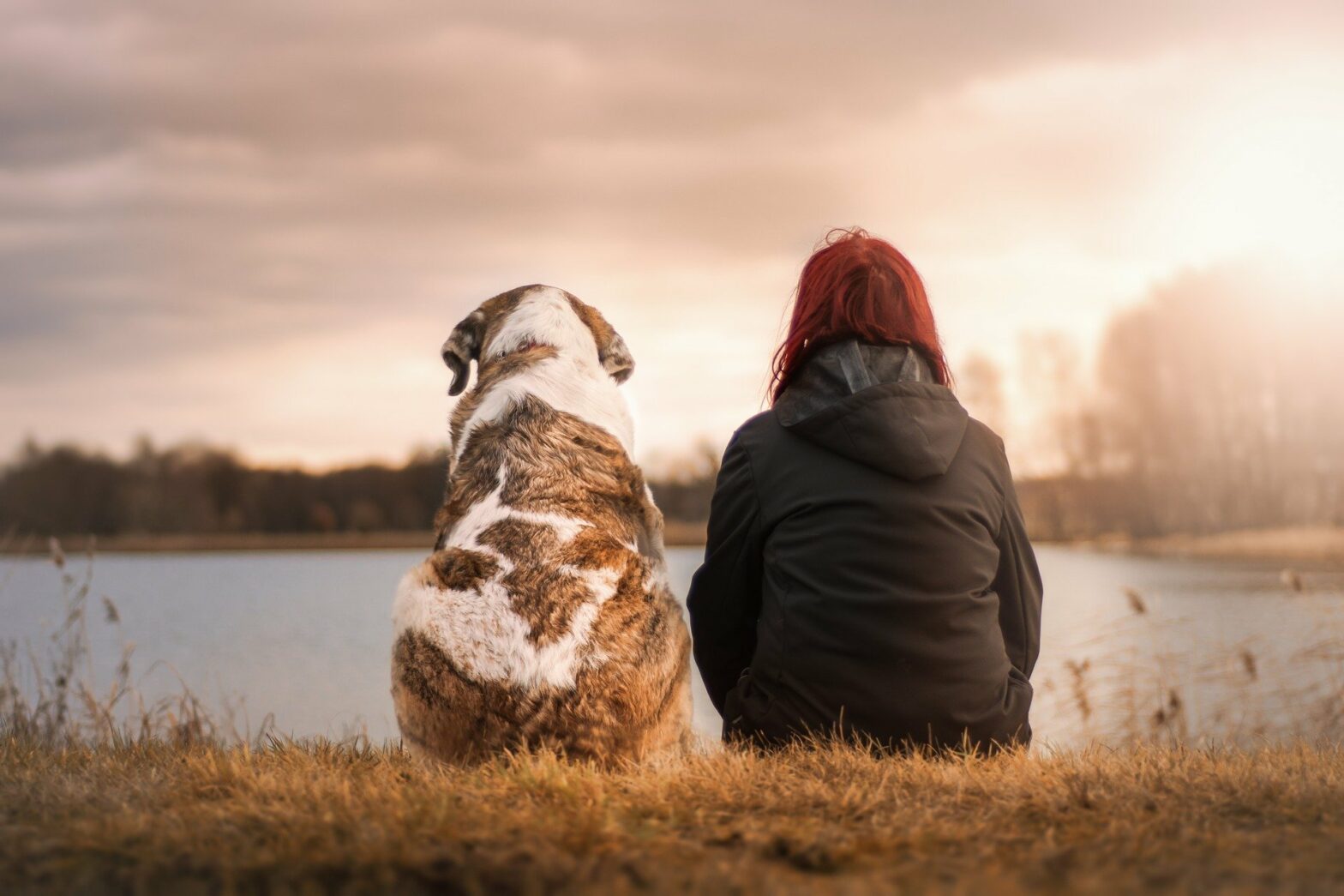 Animal Communication Fusion Series